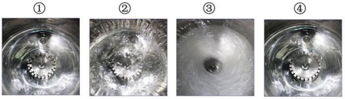 Homogenizator